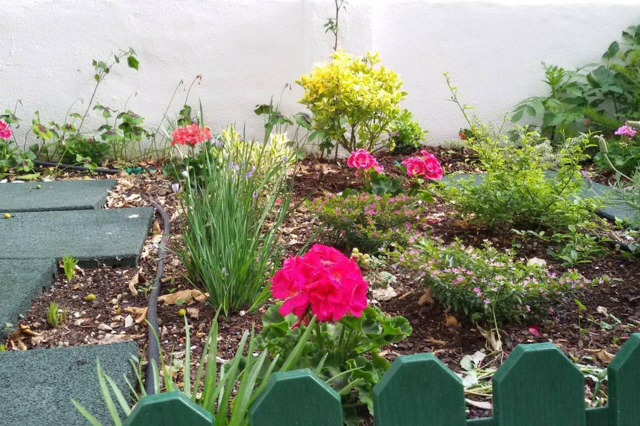 Sunny Orange Garden Apartment In Central Lisbon Bagian luar foto