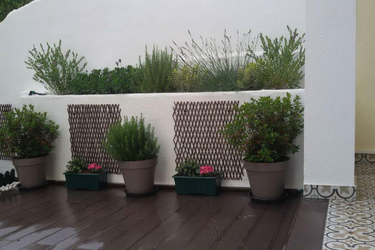 Sunny Orange Garden Apartment In Central Lisbon Bagian luar foto