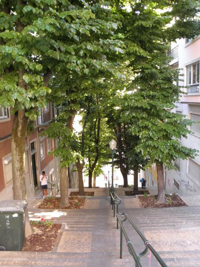 Sunny Orange Garden Apartment In Central Lisbon Bagian luar foto